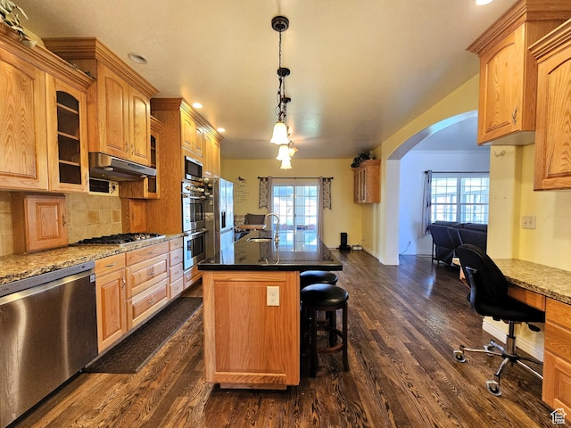 598 W 1620 S, Lehi, UT 84043 - kitchen featuring appliances with stainless steel finishes, arched walkways, a sink, dark wood-style flooring, and recessed lighting