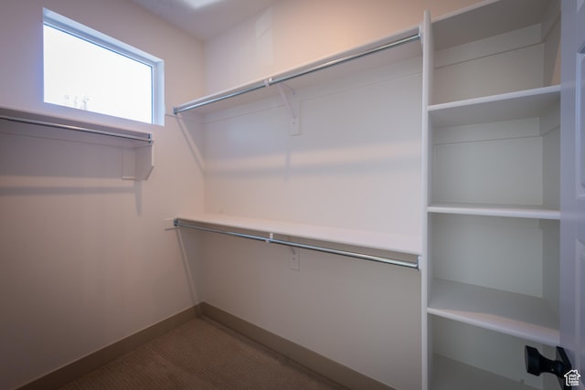8093 S 615 E, Sandy, UT 84070 - spacious closet with carpet