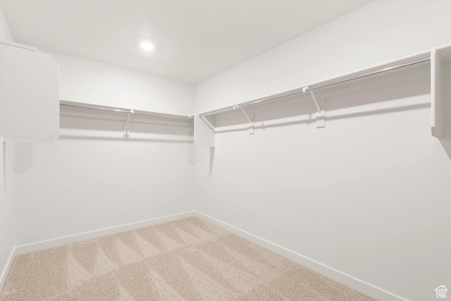 3461 S 3100 W Unit 175, West Haven, UT 84401 - walk in closet featuring carpet floors