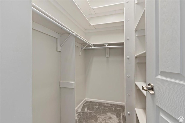 4612 S 600 E, Murray, UT 84107 - walk in closet with carpet floors