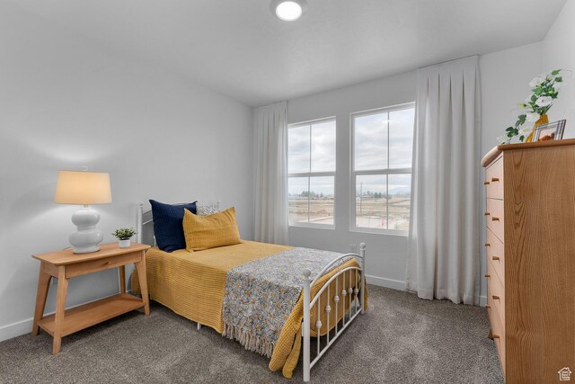 796 N 1860 E Unit 164, Salem, UT 84653 - bedroom featuring baseboards and carpet flooring