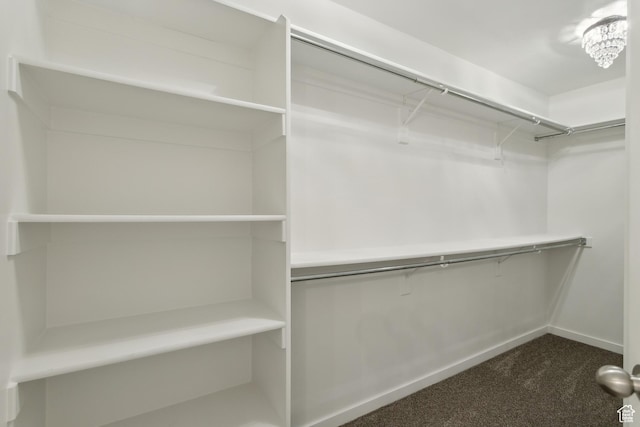 11572 S Harvest Rain Ave, South Jordan, UT 84009 - walk in closet featuring dark carpet