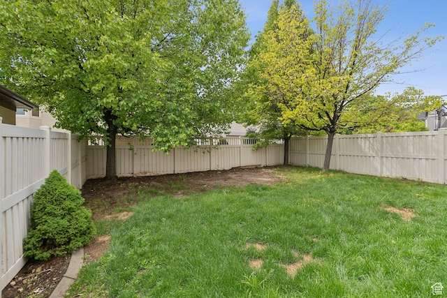11572 S Harvest Rain Ave, South Jordan, UT 84009 - view of yard