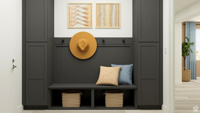 546 S Cecita Way, St George, UT 84770 - mudroom with wood finished floors and a decorative wall