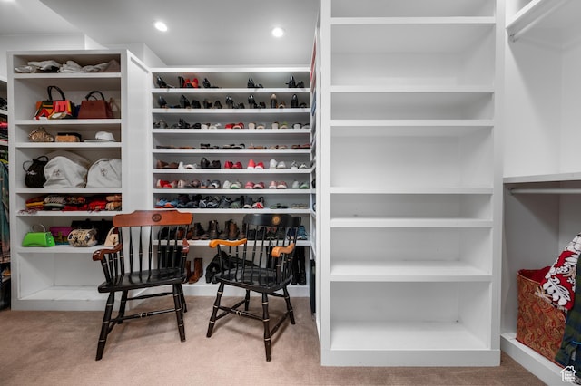 1235 E 200th St S Unit 1001, Salt Lake City, UT 84102 - view of walk in closet