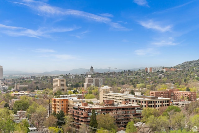 1235 E 200th St S Unit 1001, Salt Lake City, UT 84102 - city view with a mountain view