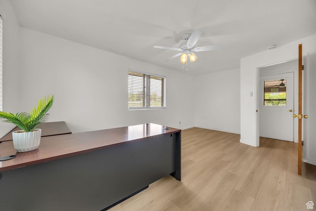 office space featuring light wood-style floors and ceiling fan