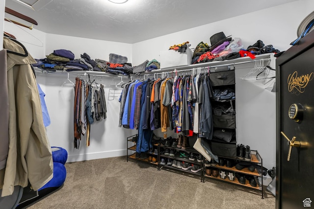 5764 Greenwich Cir, Stansbury Park, UT 84074 - spacious closet with carpet flooring