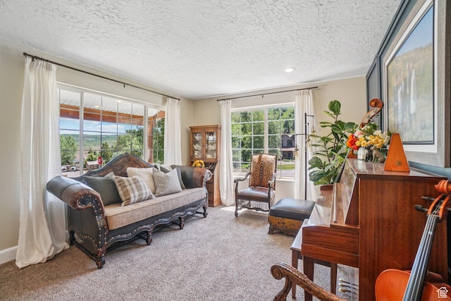 8030 N Springshire Dr, Park City, UT 84098 - living area with carpet floors and a textured ceiling