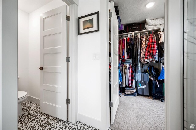 833 S 260 E, Willard, UT 84340 - view of closet