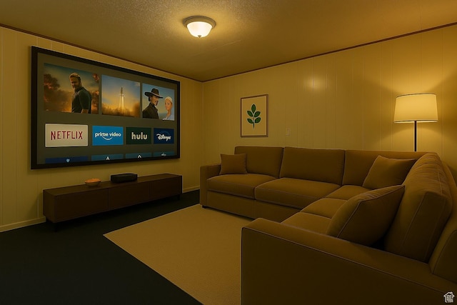 326 E 150 S, Kanab, UT 84741 - home theater room with a textured ceiling and baseboards