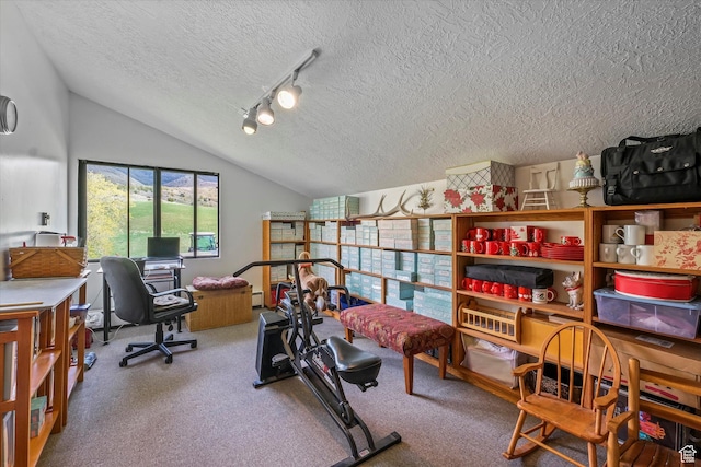 1597 E 8900 S, Paradise, UT 84328 - office area with a textured ceiling, lofted ceiling, carpet floors, and rail lighting
