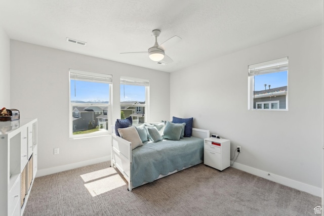 4852 N Arctic Fox Cir W Unit 2800, Lehi, UT 84043 - bedroom with baseboards, multiple windows, light carpet, and visible vents