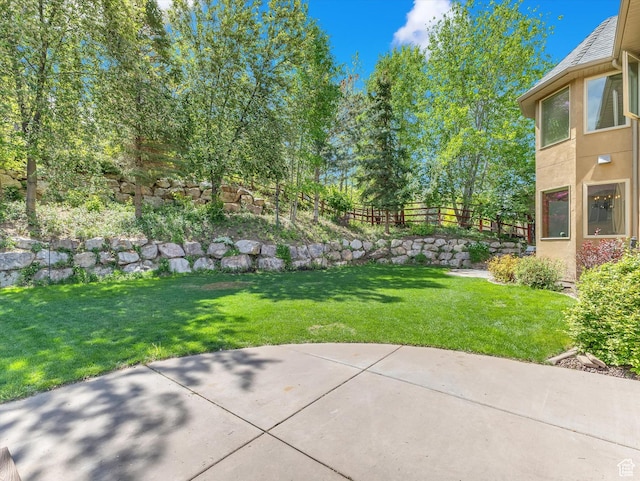 14099 S Pine Mesa Dr, Draper, UT 84020 - view of yard featuring a patio and fence