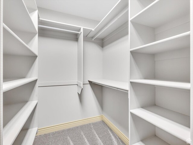 14099 S Pine Mesa Dr, Draper, UT 84020 - spacious closet with carpet floors
