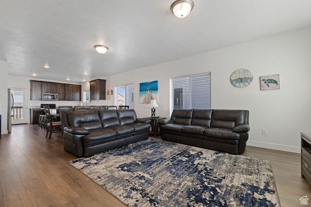 2242 S Beachcomber Ln, Garden City, UT 84028 - living area featuring baseboards, plenty of natural light, and hardwood / wood-style floors