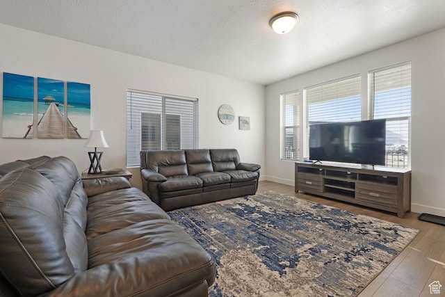 2242 S Beachcomber Ln, Garden City, UT 84028 - living room featuring baseboards and wood finished floors
