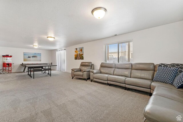 2242 S Beachcomber Ln, Garden City, UT 84028 - living room featuring carpet floors, baseboards, and a textured ceiling