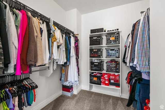 spacious closet featuring carpet floors