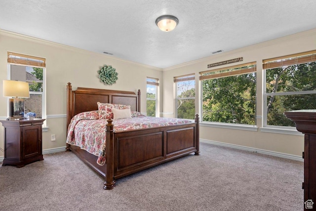 288 S Hillside Dr E, Elk Ridge, UT 84651 - carpeted bedroom featuring visible vents, a textured ceiling, baseboards, and multiple windows