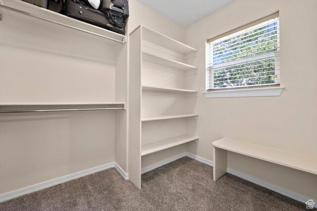 288 S Hillside Dr E, Elk Ridge, UT 84651 - walk in closet featuring carpet