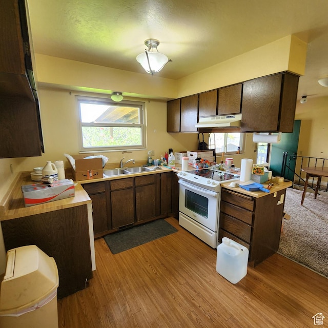 365 E Main St, Grantsville, UT 84029 - kitchen with white electric range, light countertops, under cabinet range hood, a sink, and light wood finished floors