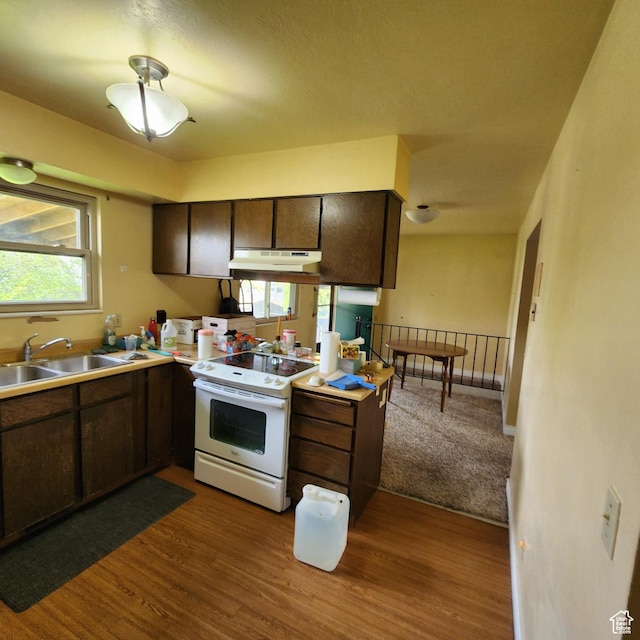 365 E Main St, Grantsville, UT 84029 - kitchen with dark wood-style flooring, dark brown cabinets, white electric range, under cabinet range hood, and a sink