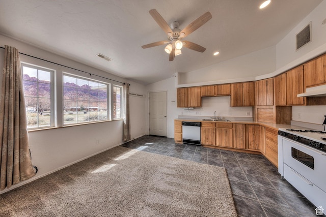 3971 S Spanish Valley Dr, Moab, UT 84532 - kitchen featuring a sink, white appliances, lofted ceiling, under cabinet range hood, and visible vents
