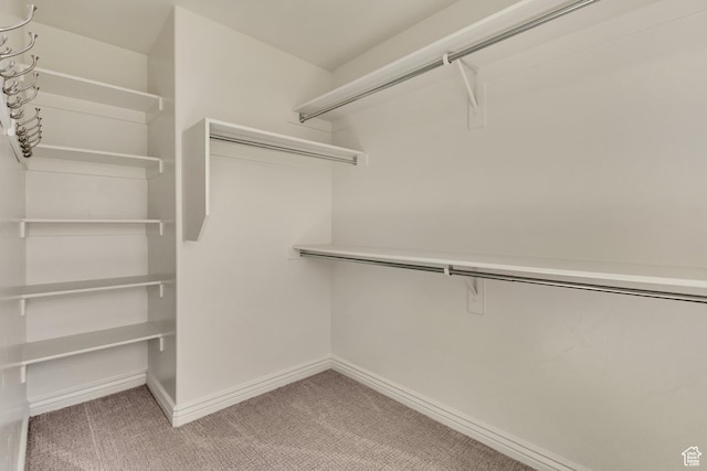 spacious closet featuring carpet