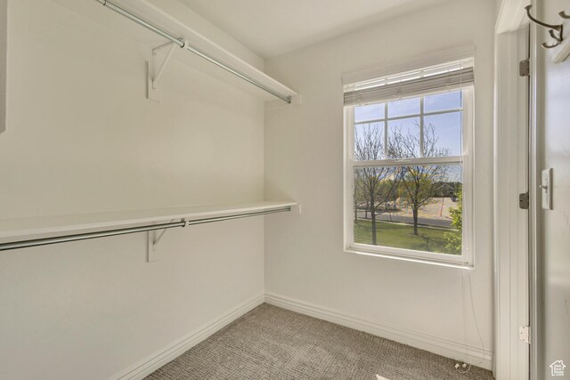walk in closet featuring light carpet