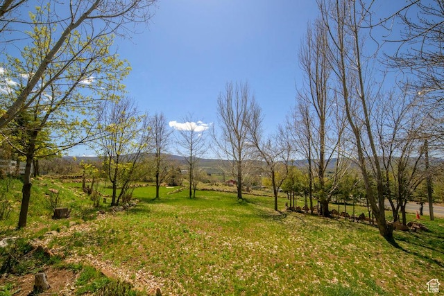 4851 E Lake Creek Rd, Heber City, UT 84032 - view of yard featuring a mountain view