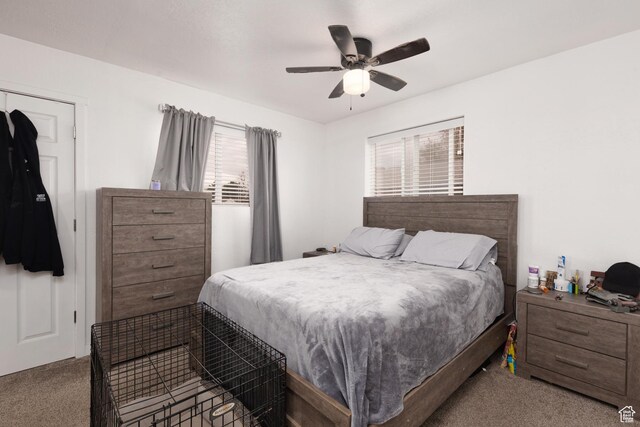 463 E Main St, Salina, UT 84654 - carpeted bedroom featuring ceiling fan