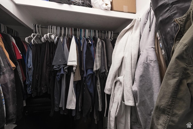 463 E Main St, Salina, UT 84654 - view of walk in closet