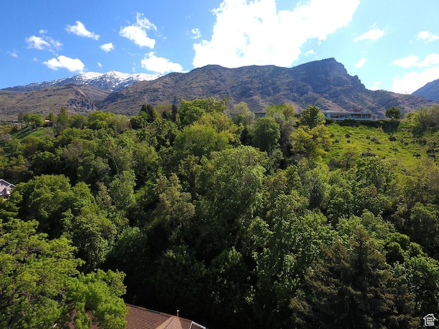 724 E 3230 N, Provo, UT 84604 - view of mountain feature with a wooded view