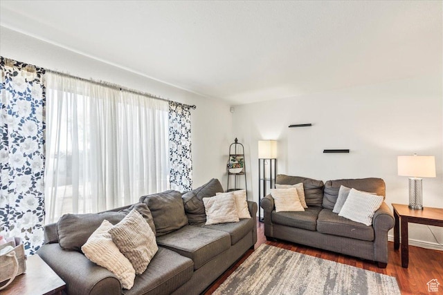 living area featuring wood finished floors