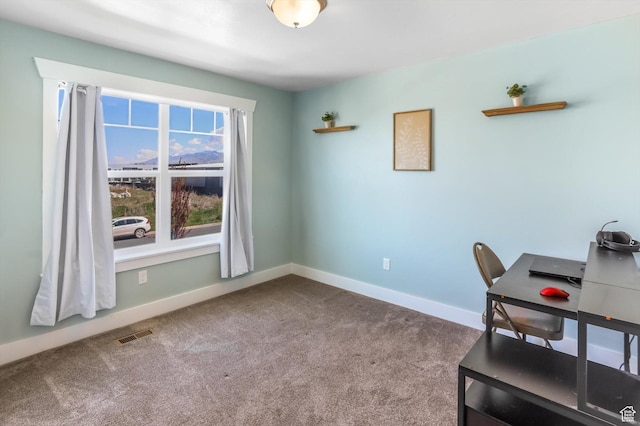 1150 W 200 S, Logan, UT 84321 - office with baseboards, carpet, and visible vents