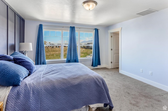 1150 W 200 S, Logan, UT 84321 - bedroom featuring baseboards, carpet flooring, and visible vents