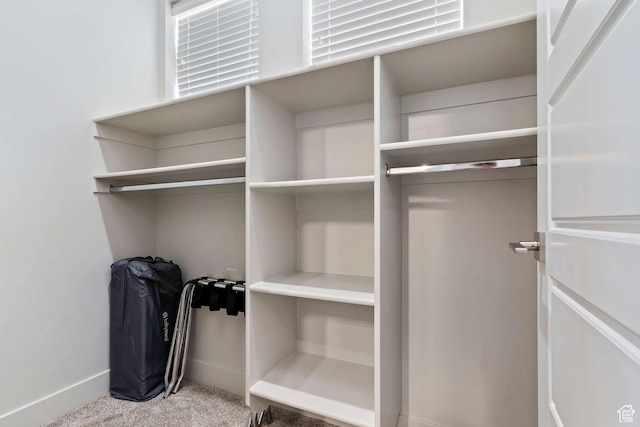 2600 Ocotillo Way Unit 31, Santa Clara, UT 84765 - spacious closet with carpet flooring