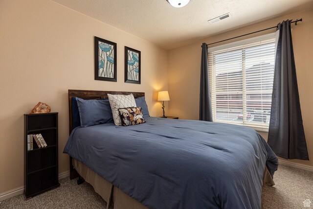 300 E 300 N Unit L5, Kanab, UT 84741 - bedroom with carpet, baseboards, and a textured ceiling