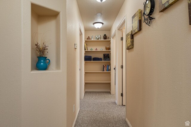 300 E 300 N Unit L5, Kanab, UT 84741 - corridor with carpet floors, a textured wall, a textured ceiling, and baseboards