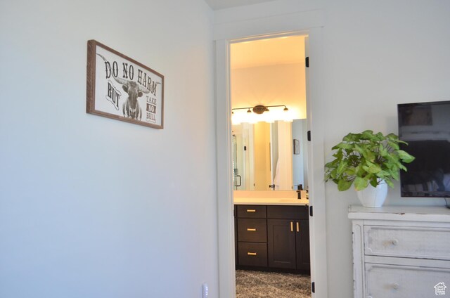 bathroom featuring vanity