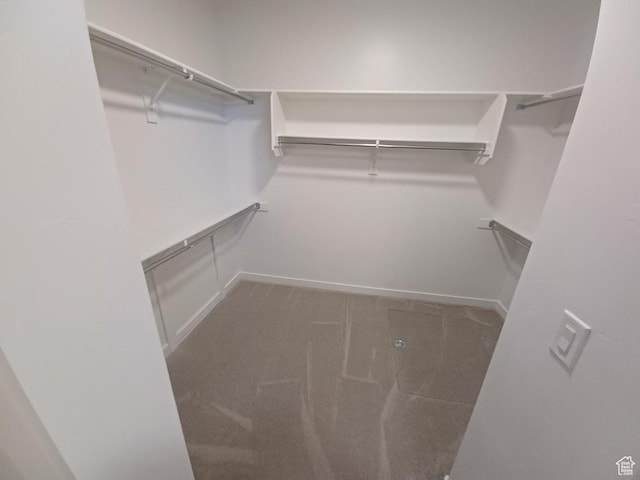 1831 S 2525 W Unit 103, West Haven, UT 84401 - walk in closet featuring carpet flooring