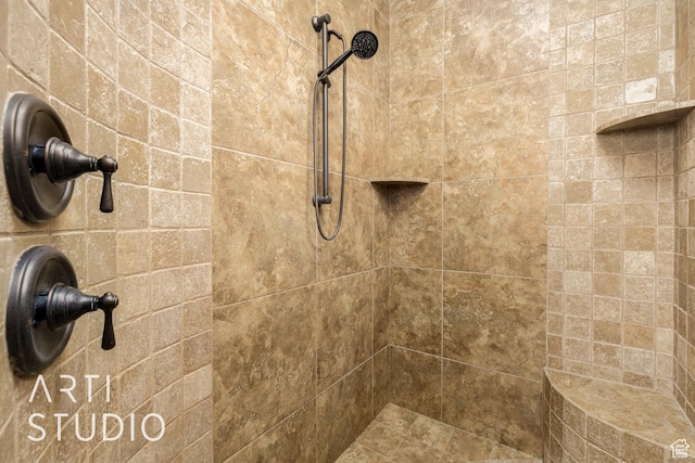 415 W Silver Hills Rd, Leeds, UT 84746 - details with tiled shower