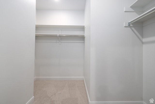 1602 E 3300 S, Millcreek, UT 84106 - walk in closet featuring carpet floors