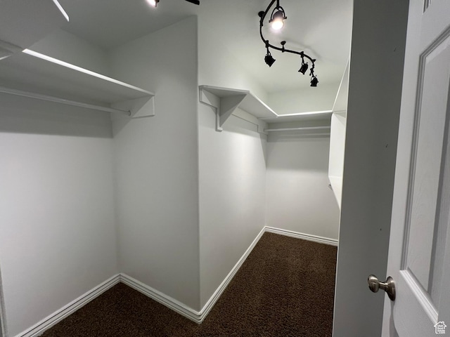 986 Davenport Dr S, Grantsville, UT 84029 - walk in closet with dark carpet