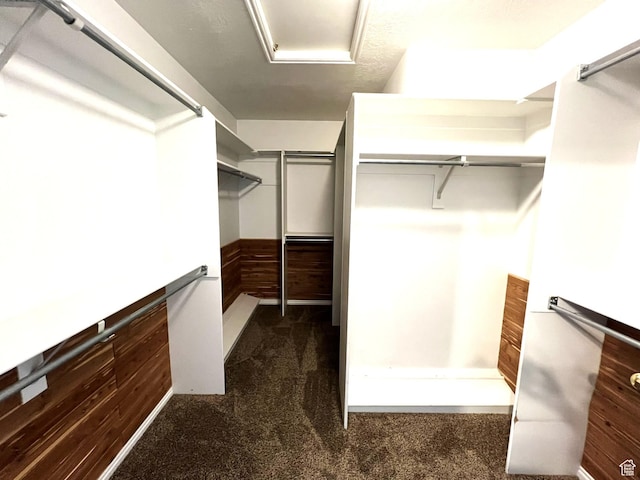 986 Davenport Dr S, Grantsville, UT 84029 - walk in closet featuring attic access and dark carpet