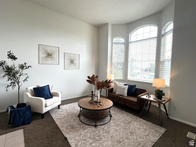 986 Davenport Dr S, Grantsville, UT 84029 - living area with carpet floors and baseboards
