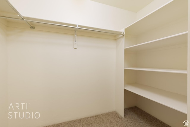 423 W Taman Ct, Ivins, UT 84738 - walk in closet with carpet