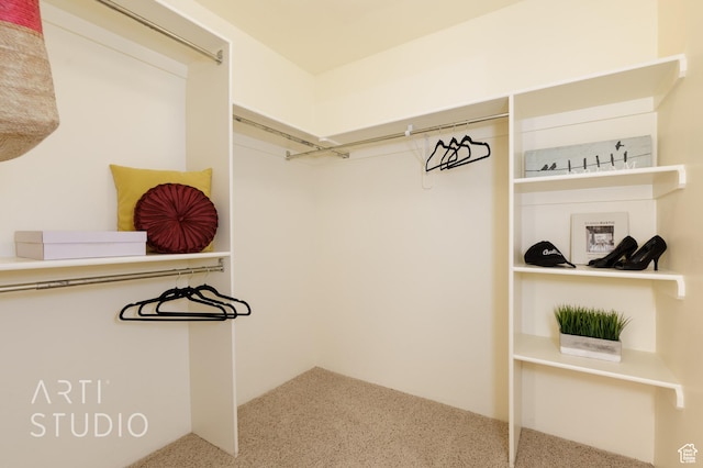 423 W Taman Ct, Ivins, UT 84738 - spacious closet with carpet
