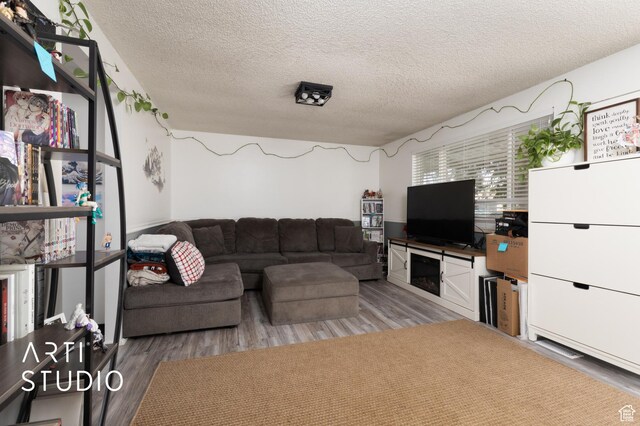 257 W 600 N, Lehi, UT 84043 - living area featuring a textured ceiling and wood finished floors
